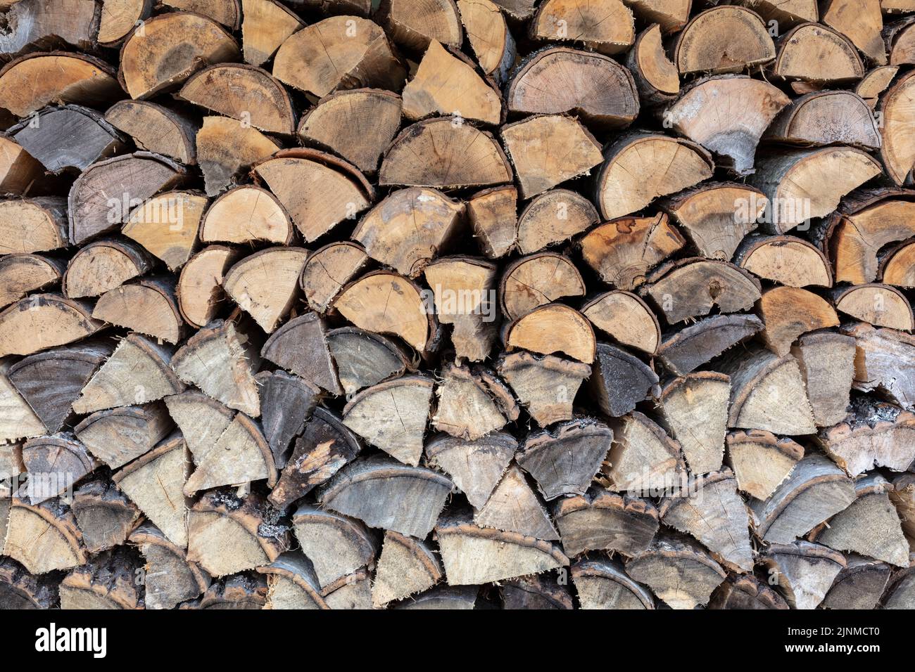 Small section of the firewood in my new woodshed. Stock Photo