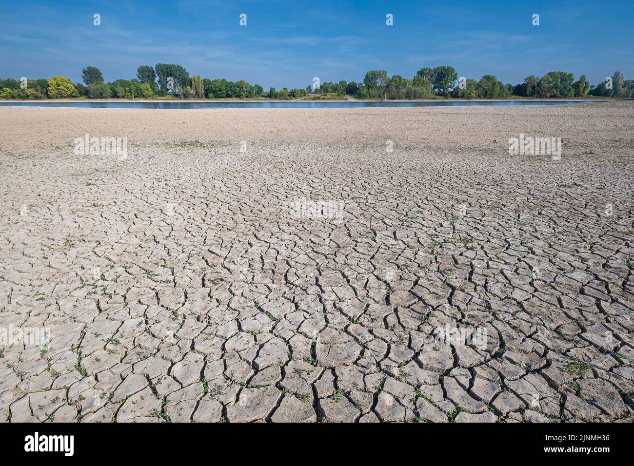 Low water on the Rhine, in the picture Cologne-Sürth. Stock Photo