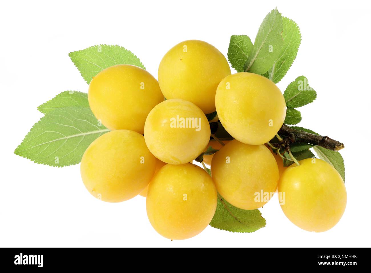 mirabelle plums isolated on white background Stock Photo