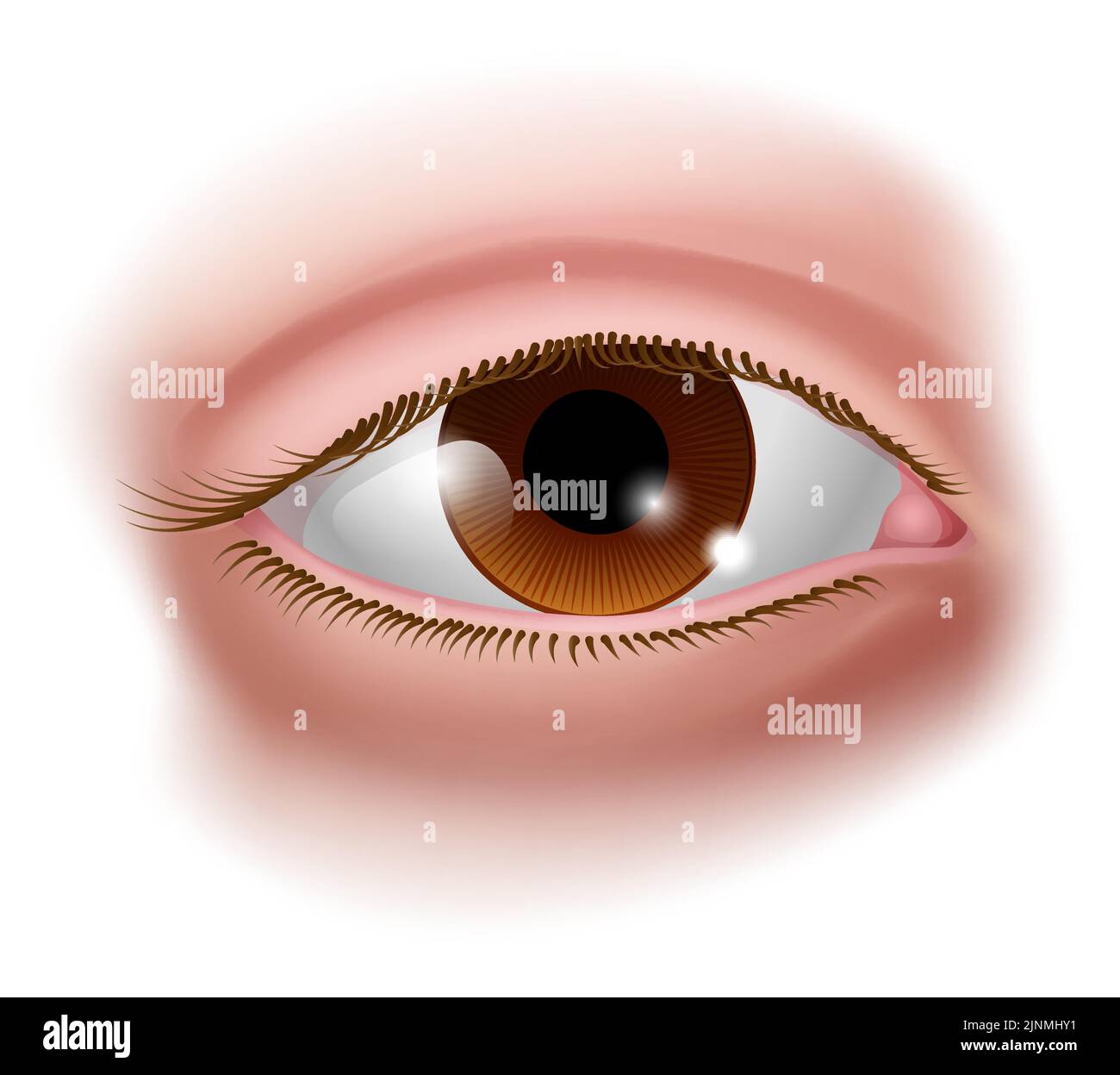 Eye Five Senses Human Body Part Sensory Organ Icon Stock Vector