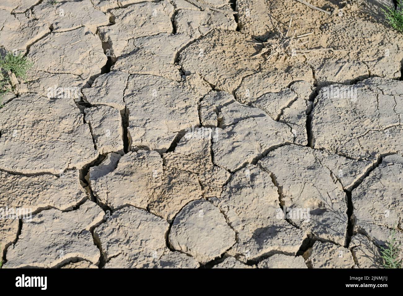 Texture of dry land in southern Europe. Global warming and greenhouse effect. Stock Photo