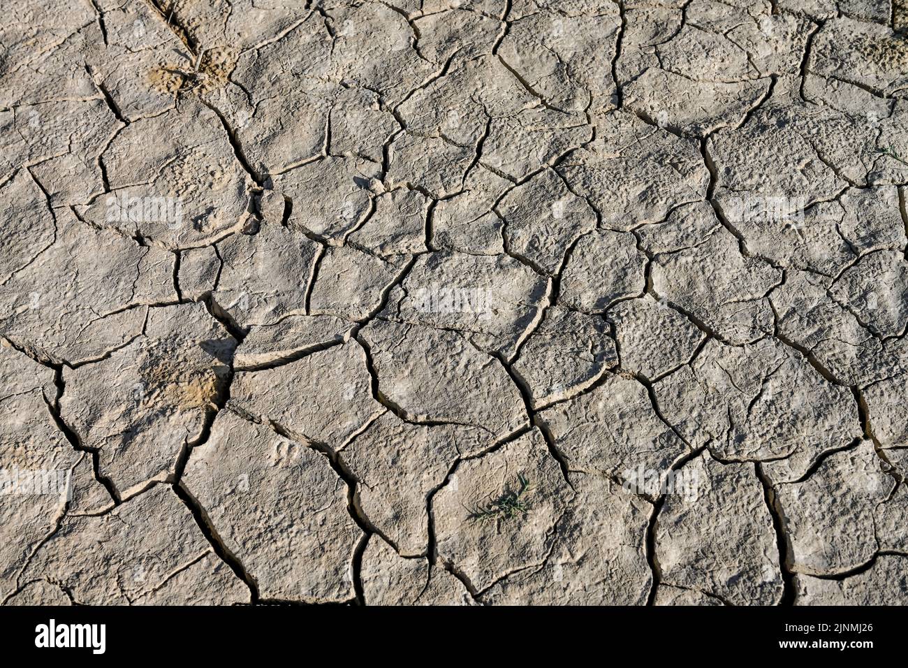 Texture of dry land in southern Europe. Global warming and greenhouse effect. Stock Photo
