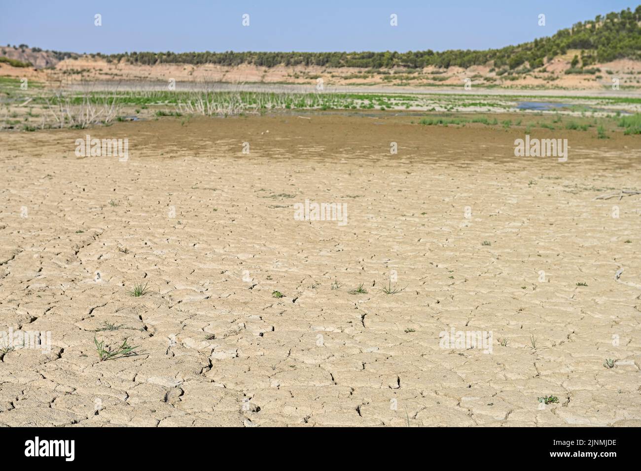 Dry land texture on the floor of a swamp. Global warming and greenhouse effect. Stock Photo