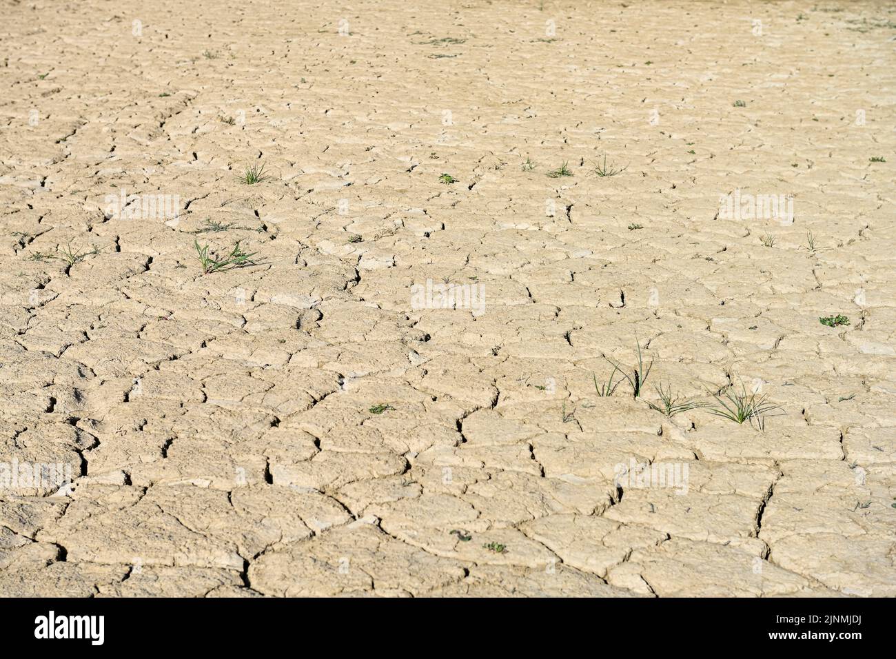 Texture of dry land in southern Europe. Global warming and greenhouse effect Stock Photo
