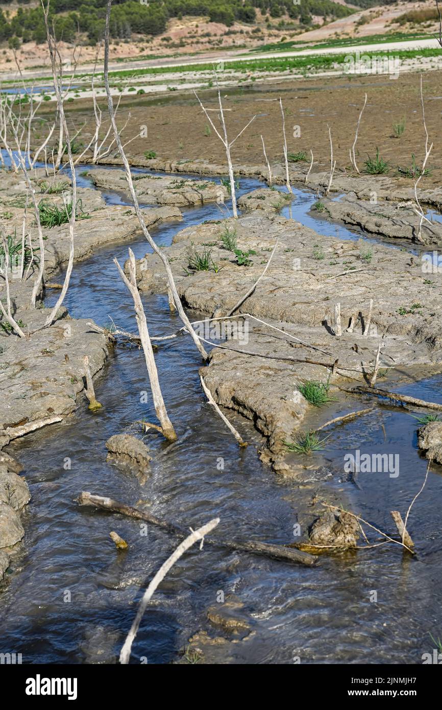 Small pool of water in a field of dry and cracked earth. Global warming