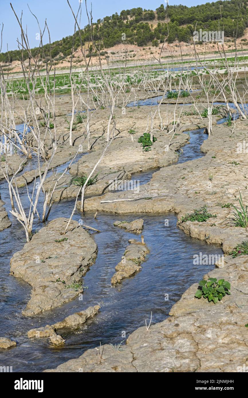 Small pool of water in a field of dry and cracked earth. Global warming