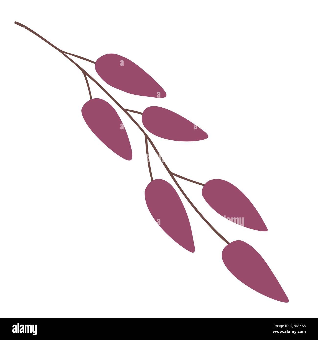 Automn Leaf Vector Icon Illustration in flat design Stock Vector Image ...