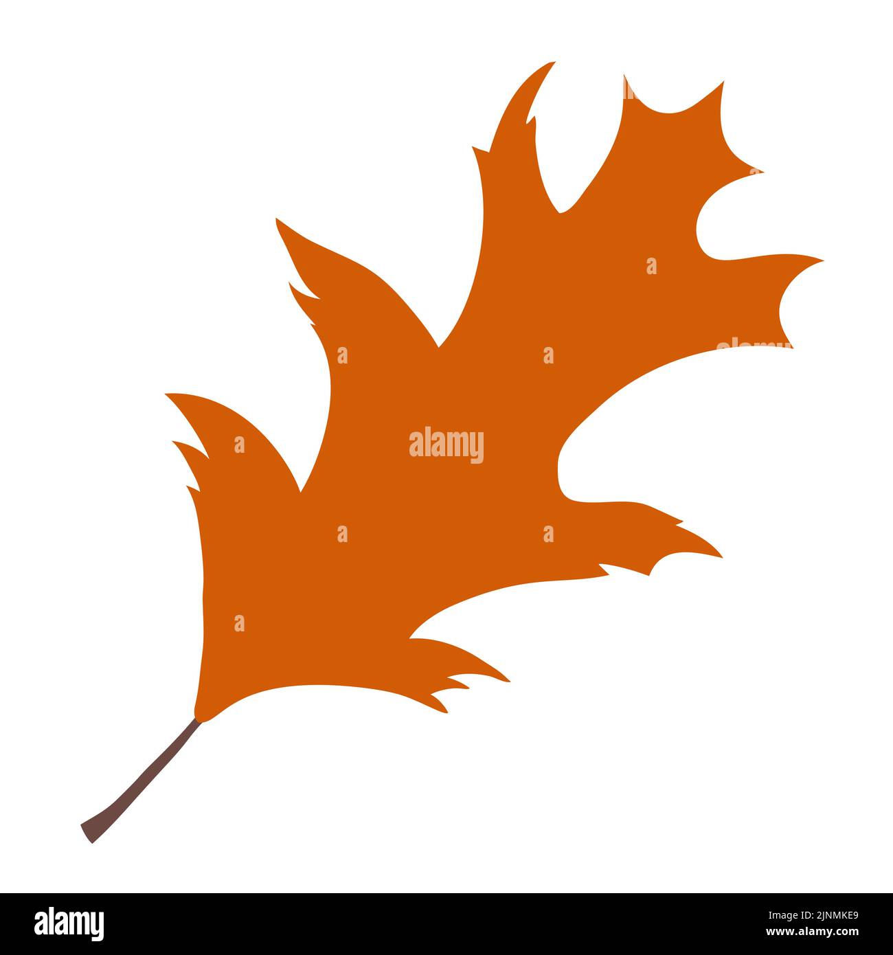 Automn leaf Stock Vector Images - Alamy
