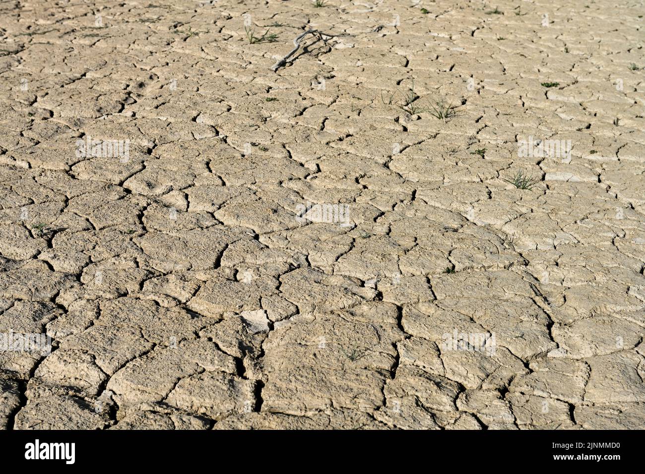 Texture of dry land in southern Europe. Global warming and greenhouse effect. Stock Photo