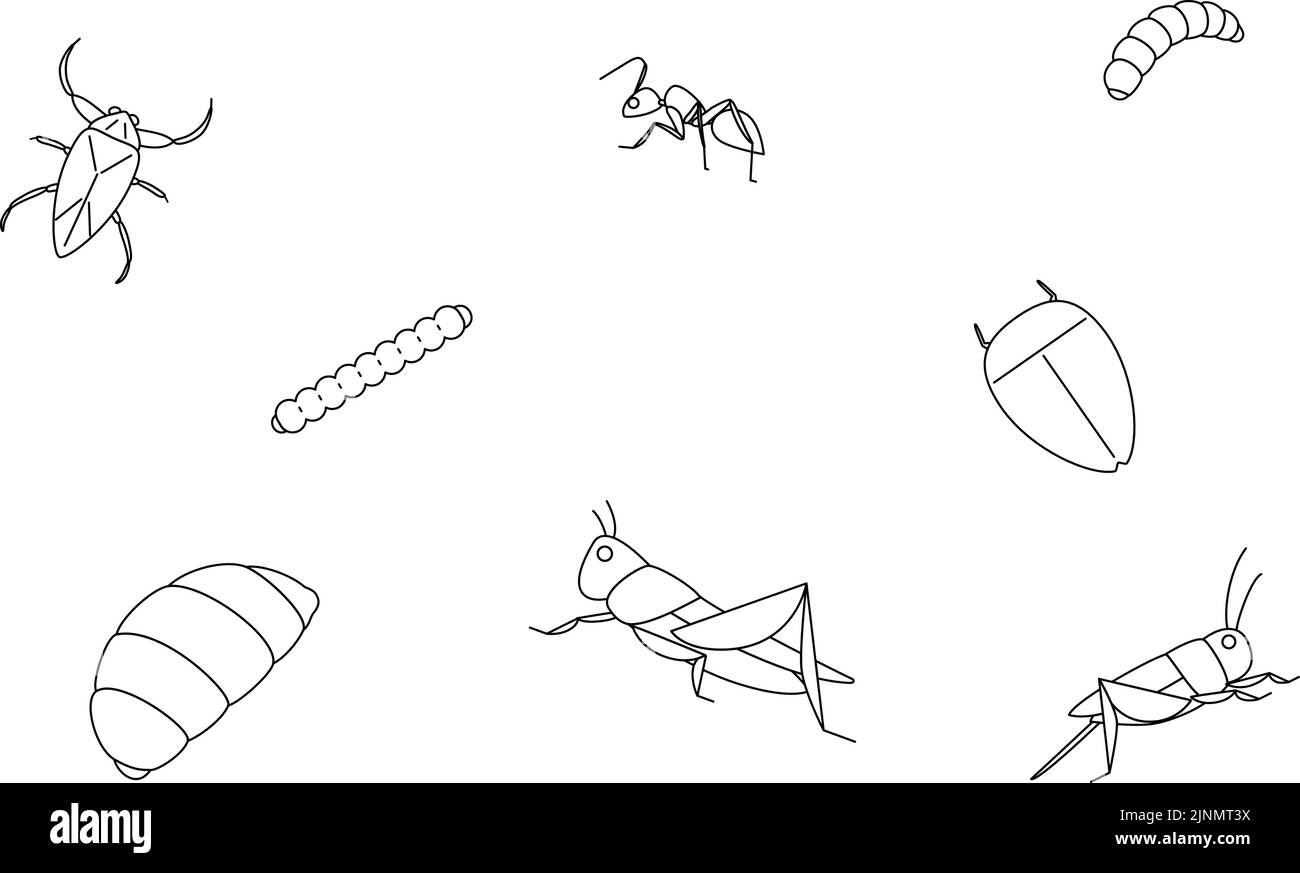 Edible insects, wallpaper background illustration Stock Vector Image