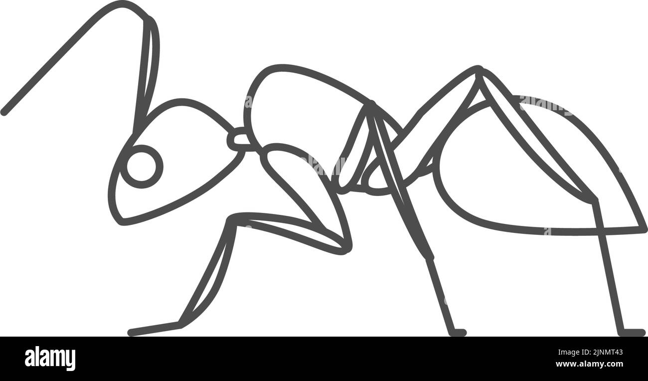 Ants, insects that can be eaten by insects Stock Vector Image & Art Alamy