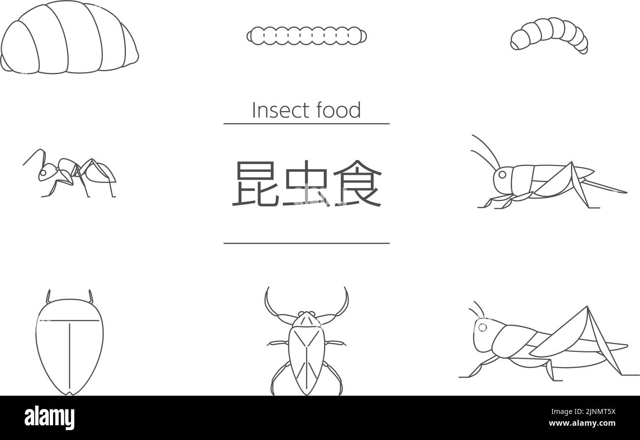 Insectes comestibles : test de 10 insectes comestibles