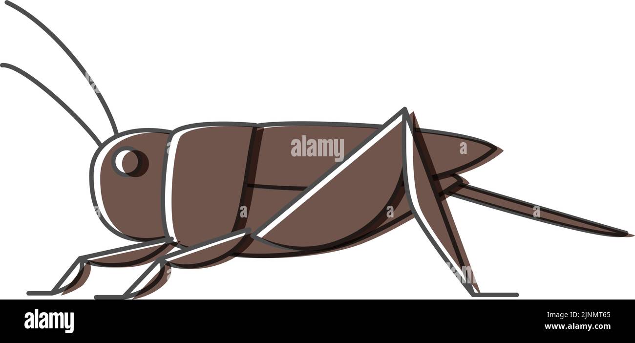 Crickets, insects that can be eaten by insects Stock Vector Image & Art Alamy