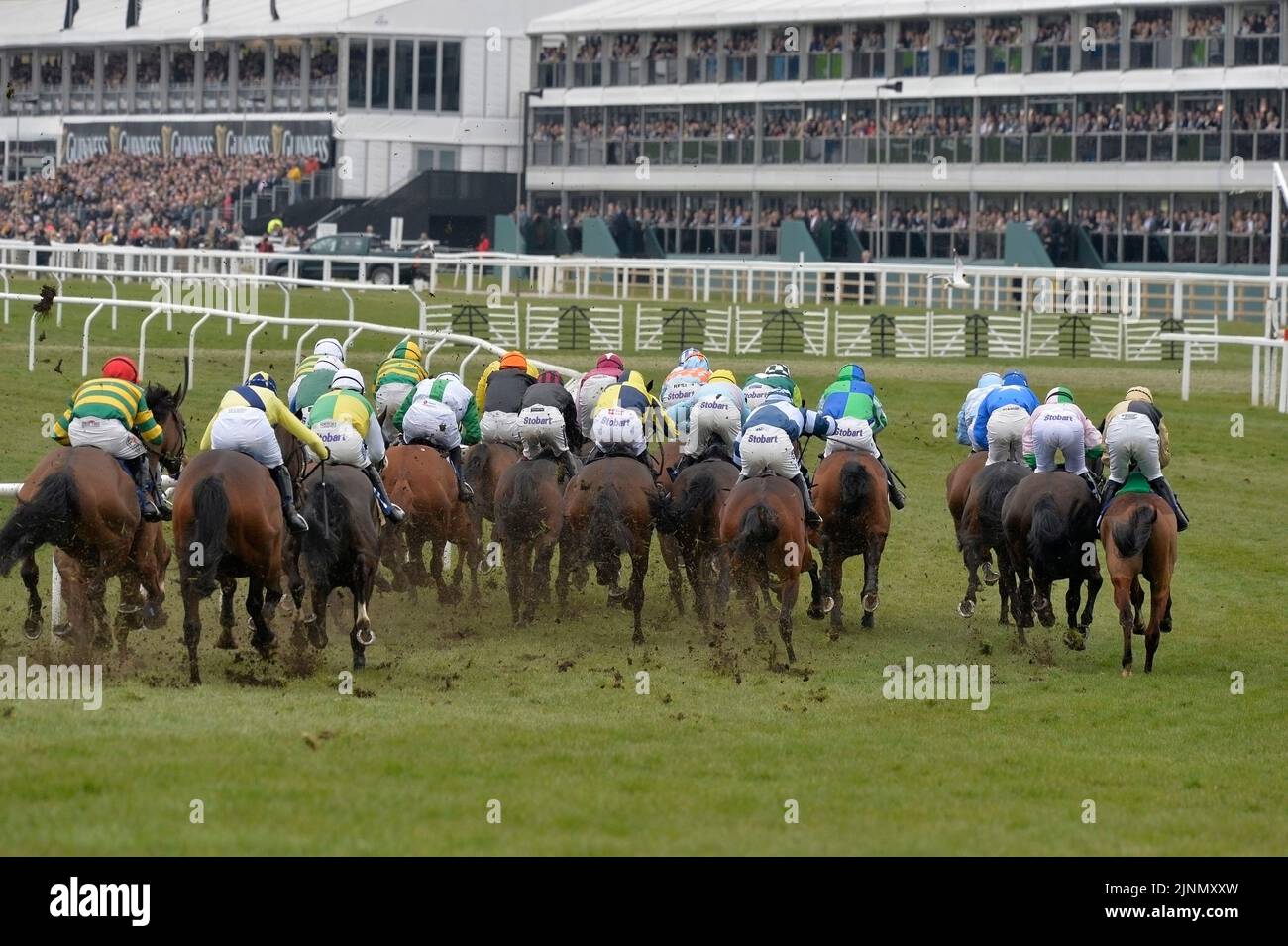 Cheltenham Gold Cup Day 18.03.16 Race 2 Stock Photo Alamy