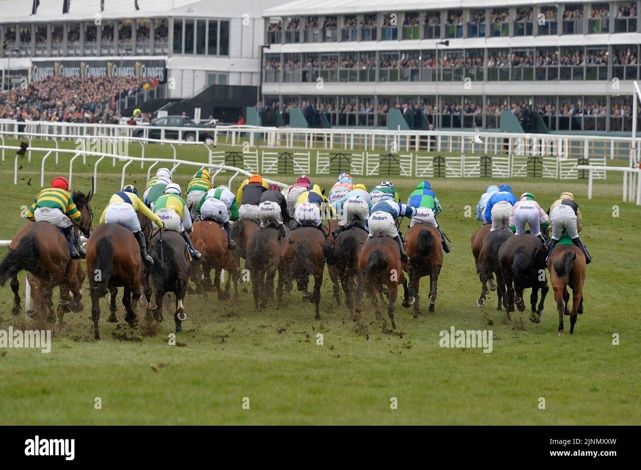 Cheltenham Gold Cup Day 18.03.16 Race 2 Stock Photo