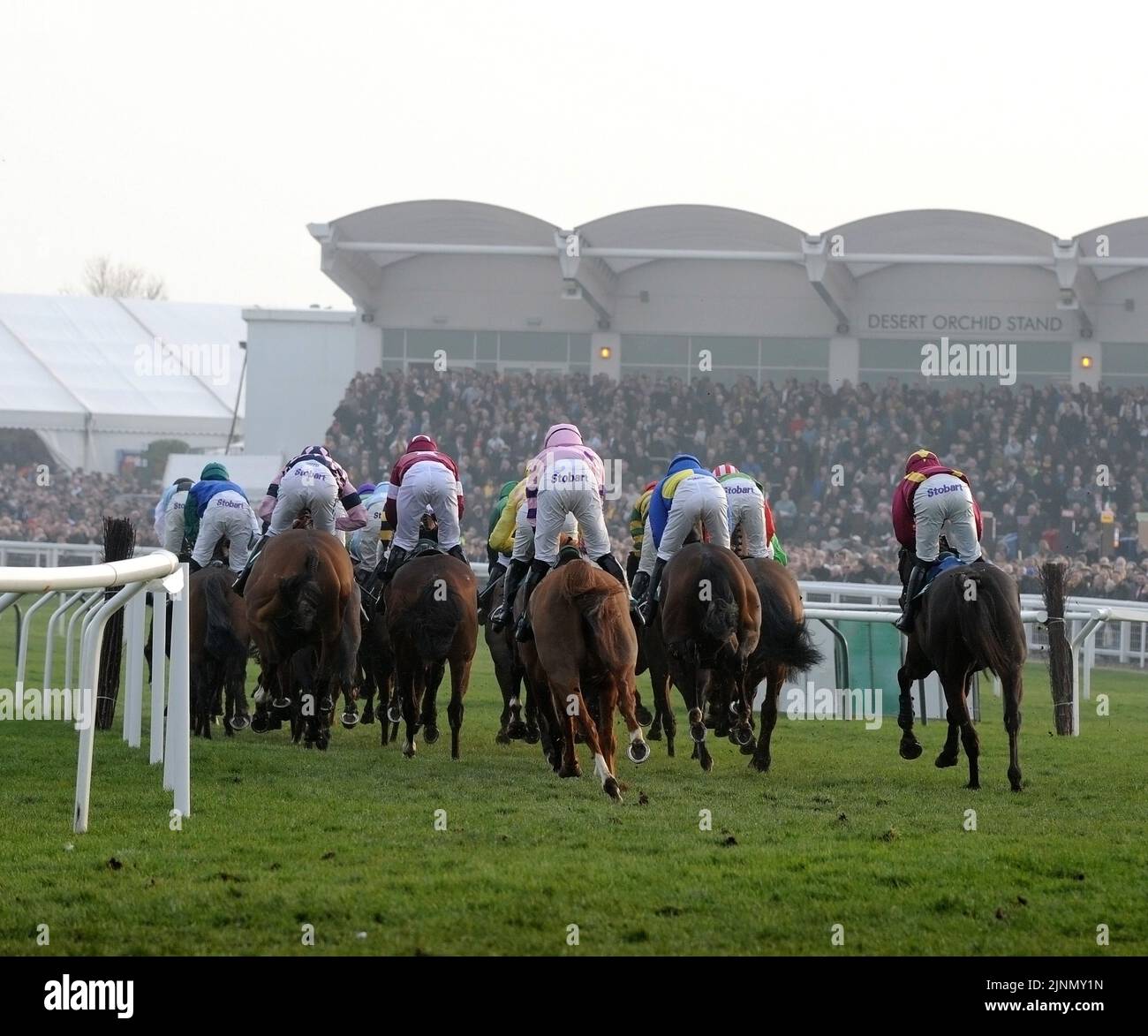 Cheltenham festival crowd horse racing hi-res stock photography and ...