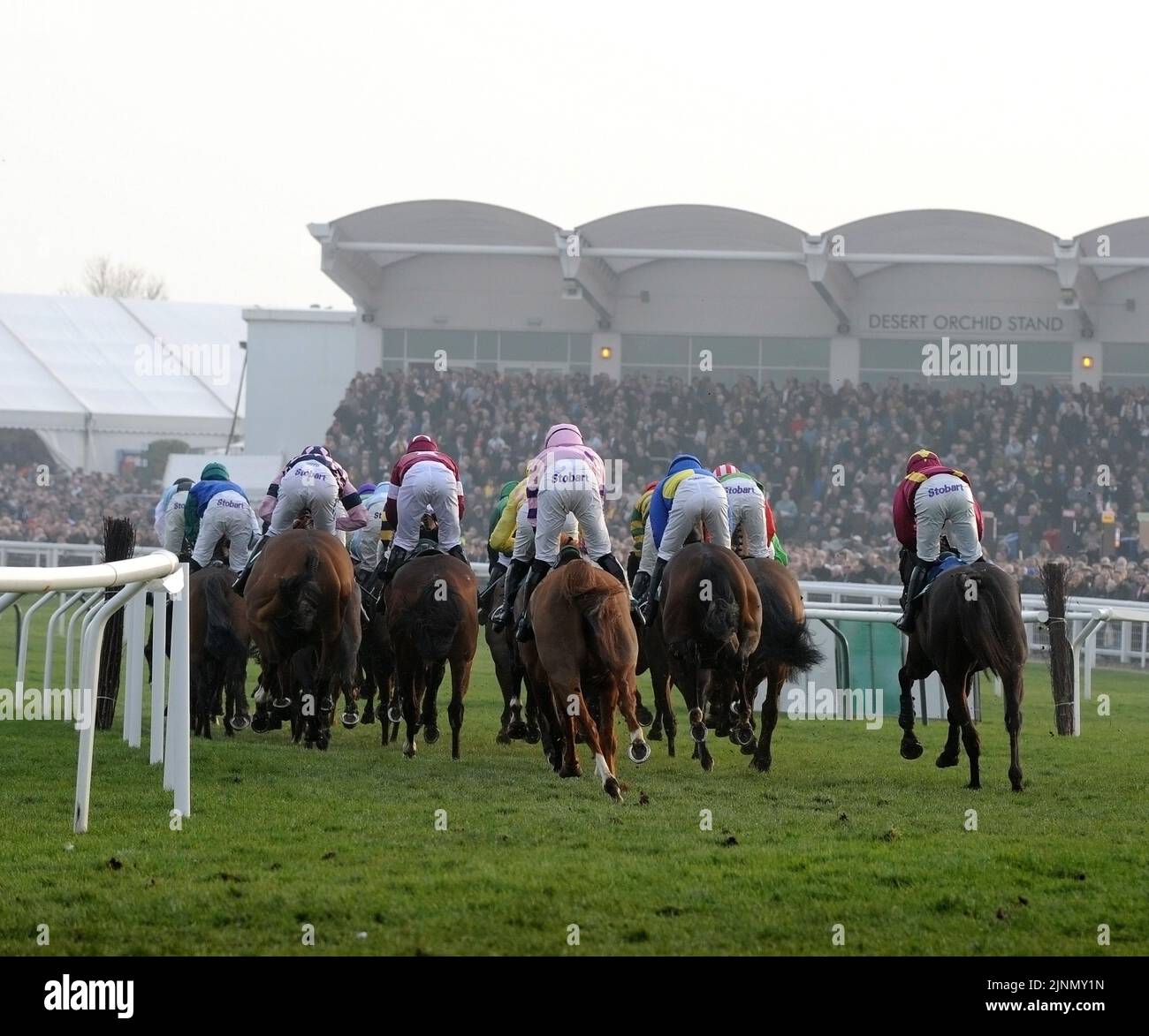 Cheltenham Gold Cup Day 14.03.14 Race 6 Stock Photo