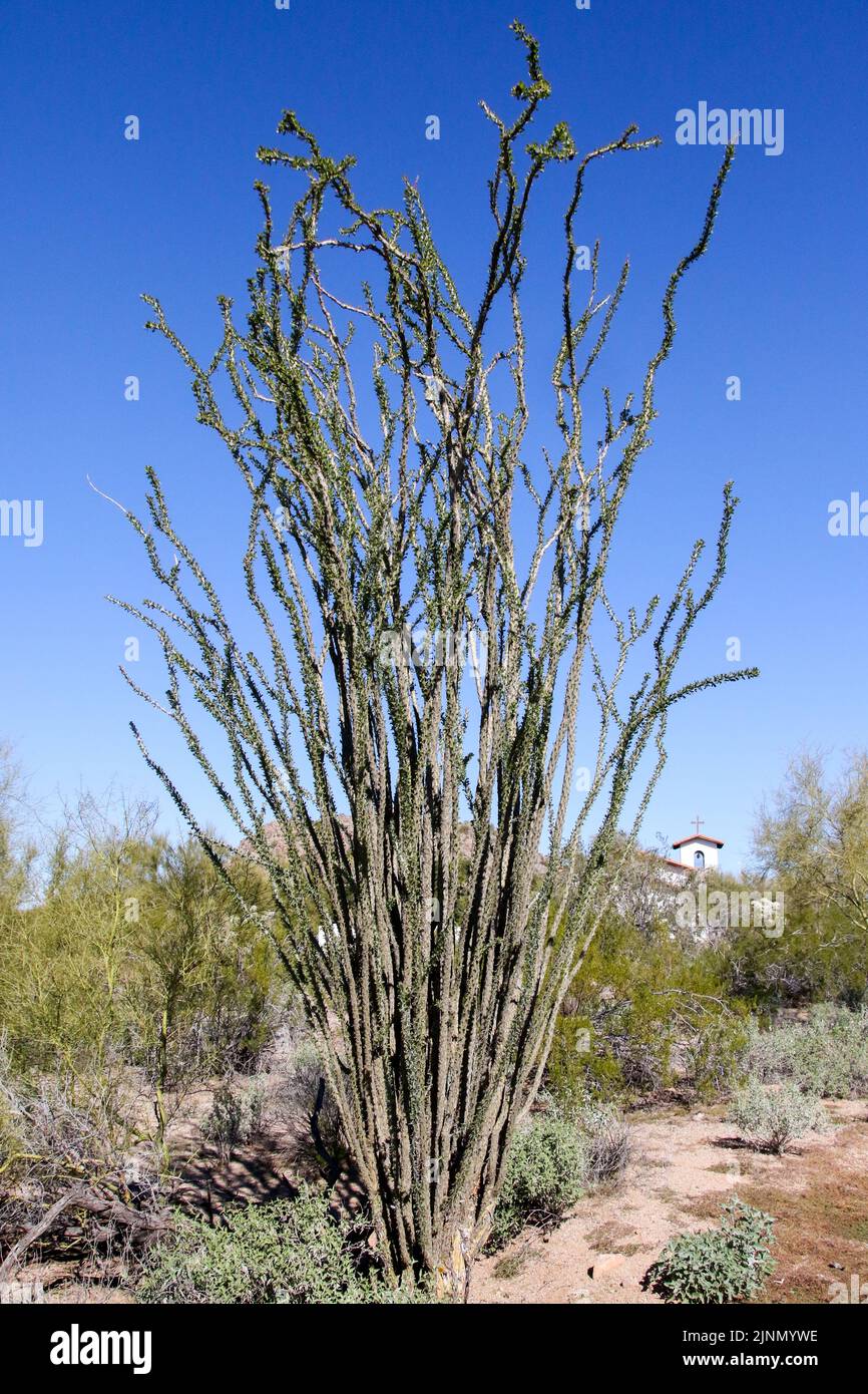 St. Ignatious of Antioch Church, Mesa Stock Photo Alamy