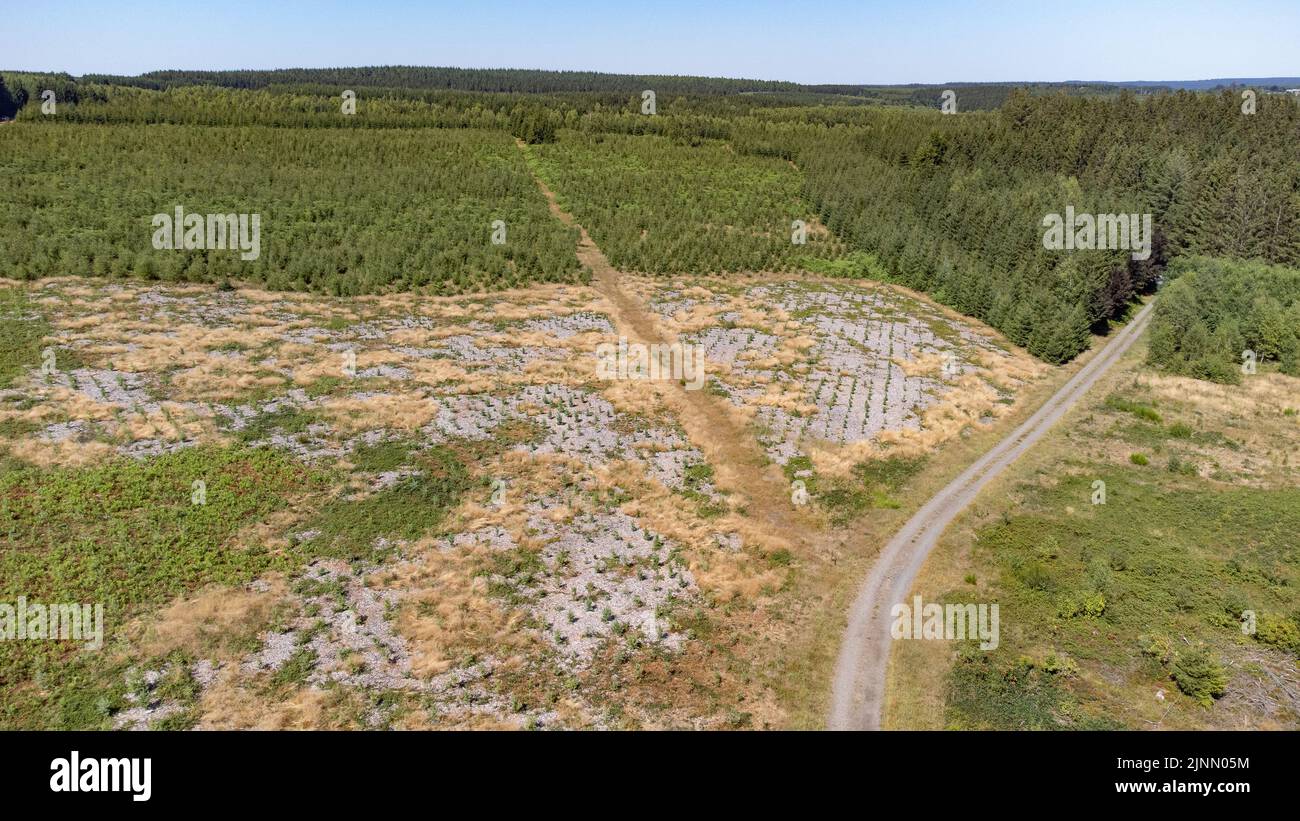 Belgium. 12th Aug, 2022. Aerial drone picture shows Illustration picture shows dry fields in Bertrix Luxembourg province, Belgium, on Friday 12 August 2022. Severe droughts are effecting Europe since the beginning of the year. Weather forecast services announced an 8 to 10 day long heat wave. BELGA PHOTO BRUNO FAHY Credit: Belga News Agency/Alamy Live News Stock Photo
