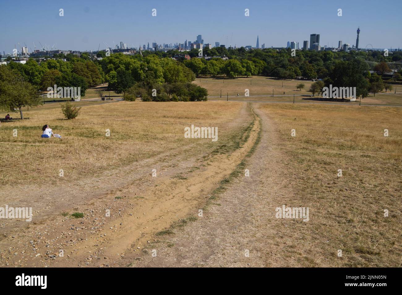 Dry grass covers a parched Primrose Hill as a drought is declared in parts of England. Persistent heatwaves resulting from human-induced climate change have affected much of London, with wildfires and droughts seen across the capital. Stock Photo