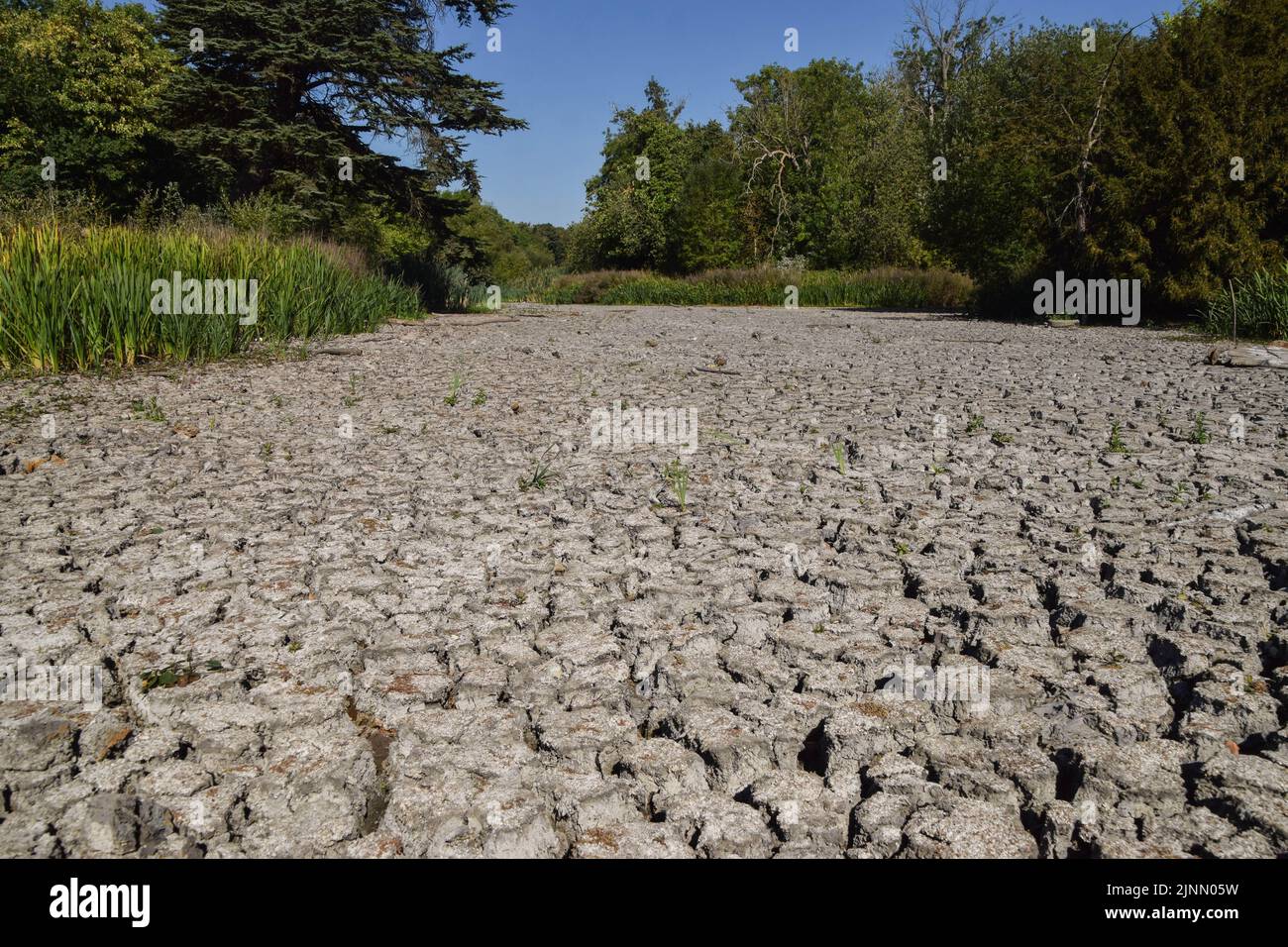 A completely dry large pond seen in Wanstead Park in north-east London, as a drought is declared in parts of England. Persistent heatwaves resulting from human-induced climate change have affected much of London, with wildfires and droughts seen across the capital. Stock Photo