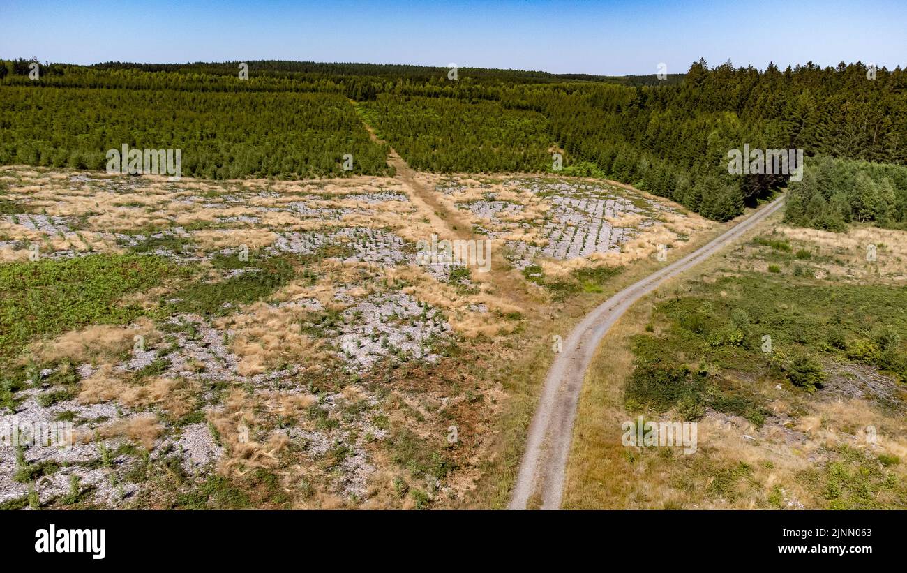 Belgium. 12th Aug, 2022. Aerial drone picture shows Illustration picture shows dry fields in Bertrix Luxembourg province, Belgium, on Friday 12 August 2022. Severe droughts are effecting Europe since the beginning of the year. Weather forecast services announced an 8 to 10 day long heat wave. BELGA PHOTO BRUNO FAHY Credit: Belga News Agency/Alamy Live News Stock Photo