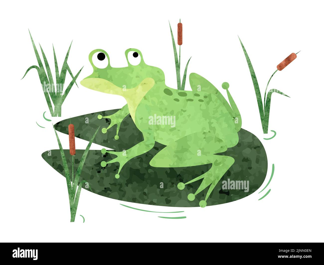 Cartoon Frog sitting on lily pad. Vector watercolor illustration Stock