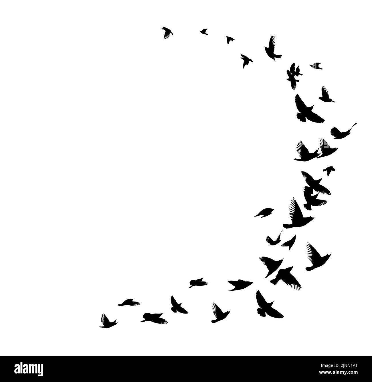 A flock of flying birds. Free birds. Vector illustration Stock Vector ...