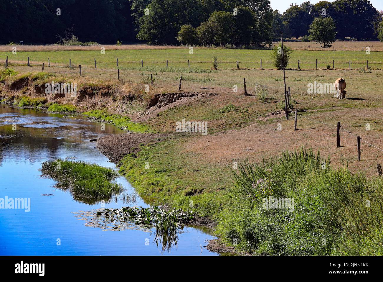 Belgium. 12th Aug, 2022. Illustration picture shows the Semois river in Luxembourg province, Belgium, on Friday 12 August 2022. Severe droughts are effecting Europe since the beginning of the year. Weather forecast services announced an 8 to 10 day long heat wave. BELGA PHOTO BRUNO FAHY Credit: Belga News Agency/Alamy Live News Stock Photo