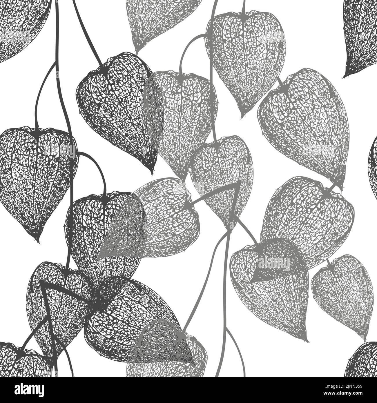 Physalis flowers seamless pattern. Vector illustration Stock Vector