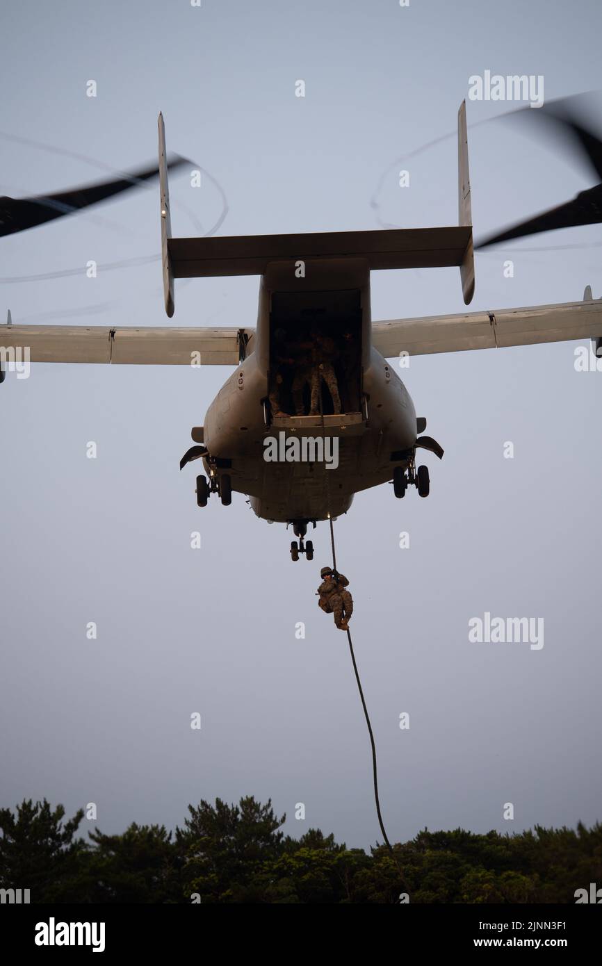 U.S. Marines with Marine Wing Support Squadron (MWSS) 171 fast rope out of an MV-22B Osprey assigned to Marine Medium Tiltrotor Squadron (VMM) 265 during a Fast Rope Masters Course (FRMC) at Landing Zone Sterling, Okinawa, Japan, July 26, 2022. Fast roping allows Marines to enter landing zones that are too dangerous for helicopters to safely land. Fast Rope and Helicopter Rope Suspension Training teaches Marines proper knots and rappelling techniques, and builds confidence for maneuvering from air to ground. (U.S. Marine Corps photo by Pfc. Justin J. Marty) Stock Photo