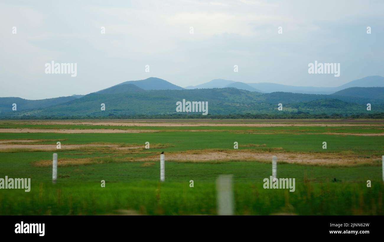 green grass field, with dry areas, a fence of posts with barbed wire