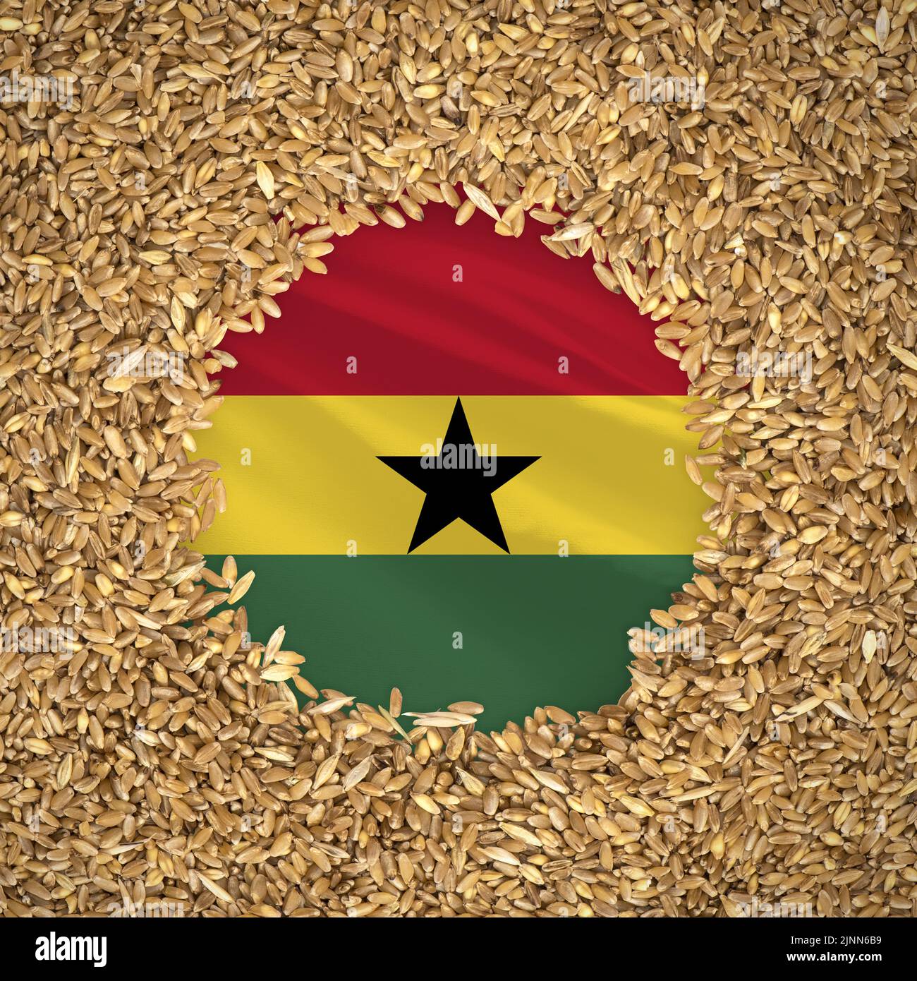 Flag of ghana with grains of wheat. Natural whole wheat concept with