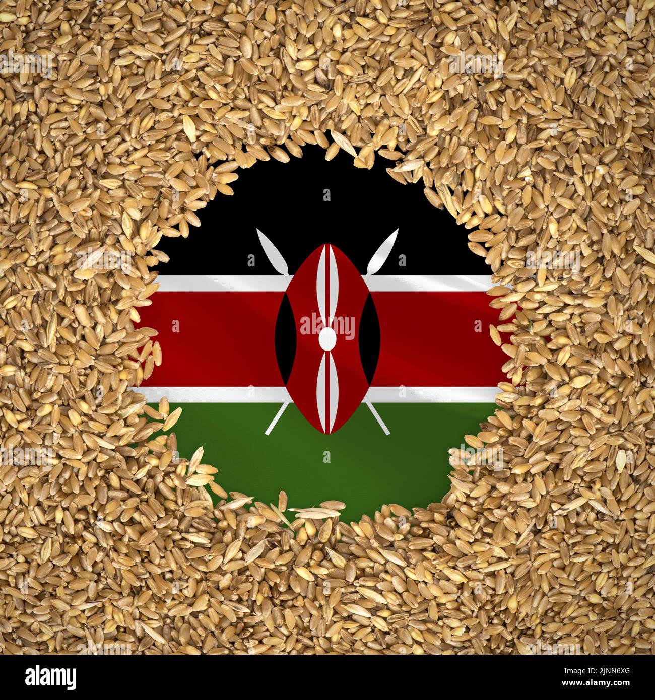 Flag of kenya with grains of wheat. Natural whole wheat concept with