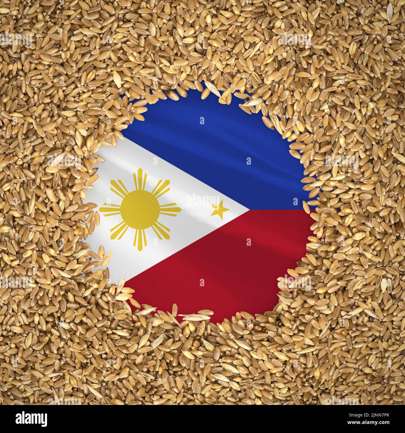 Flag of philippines with grains of wheat. Natural whole wheat concept