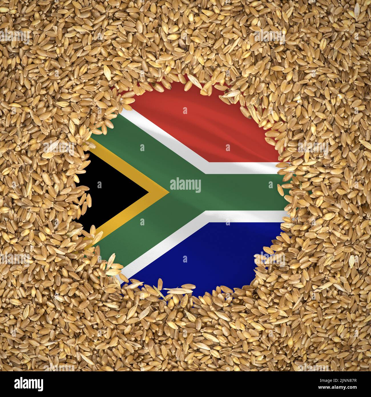 Flag of south africa with grains of wheat. Natural whole wheat concept