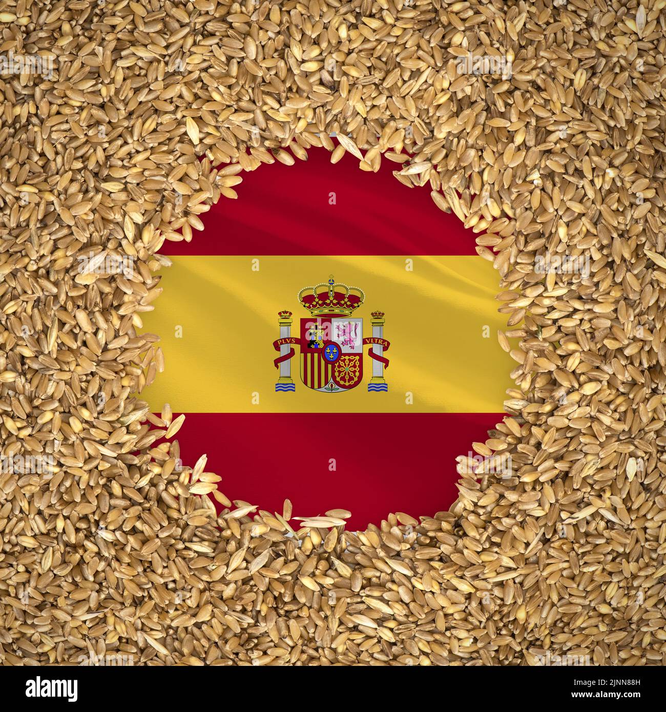 Flag of spain with grains of wheat. Natural whole wheat concept with