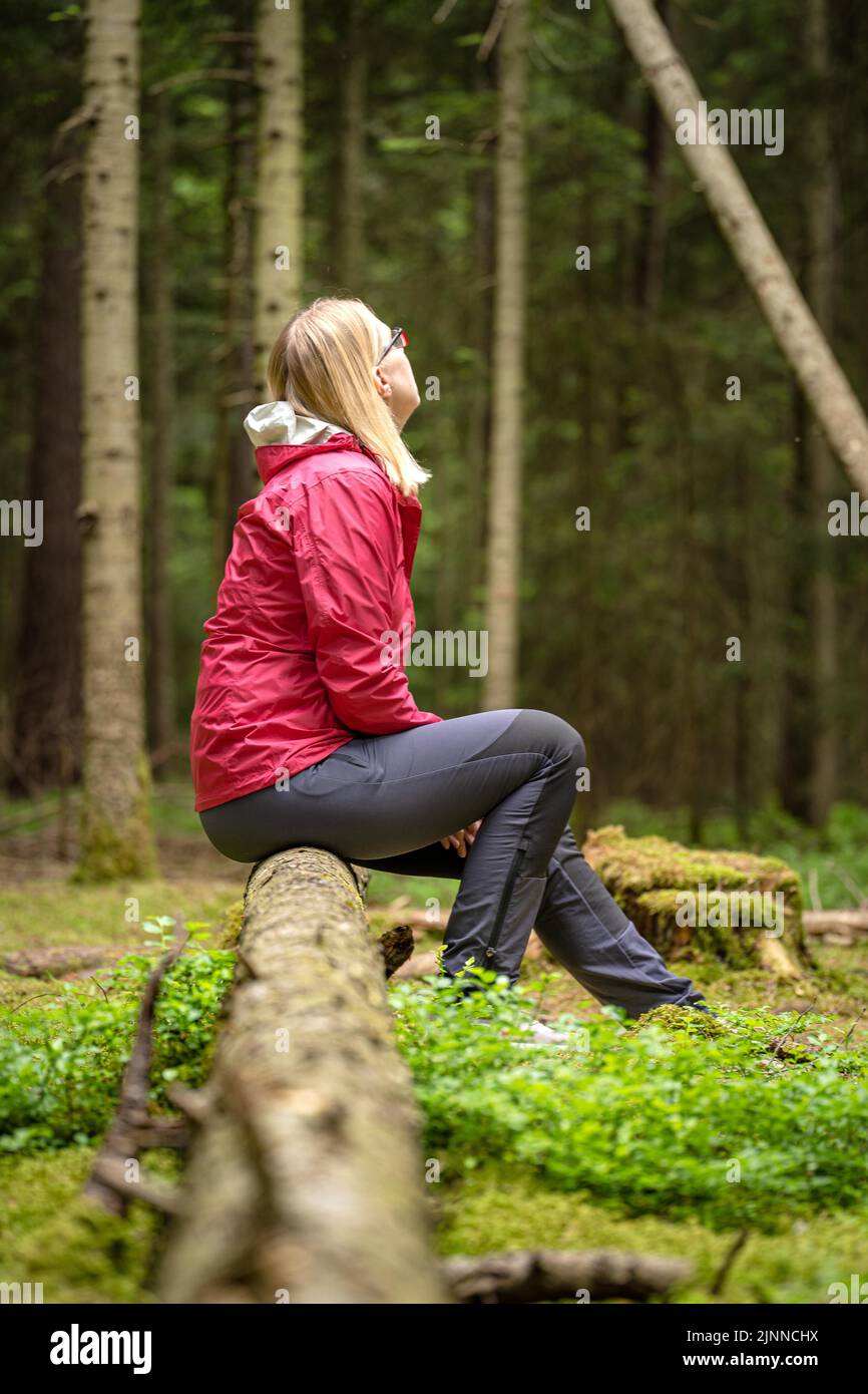 Woman on a log in the Black Forest, Germany Stock Photo