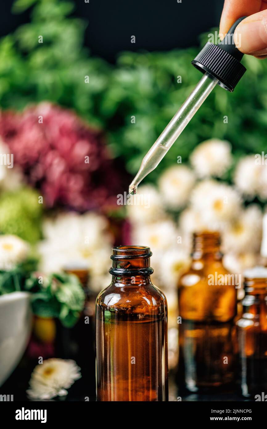 Herbal medicine, conceptual image Stock Photo