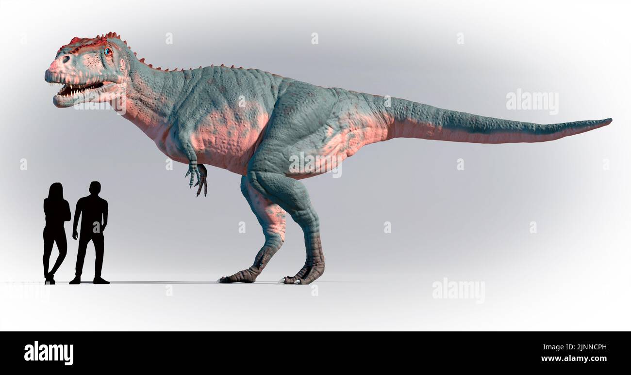 Meraxes Gigas Compared to Humans Stock Photo