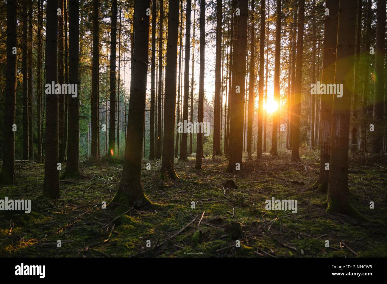 Evening sun in the Black Forest, Unterhaugstett, Germany Stock Photo ...