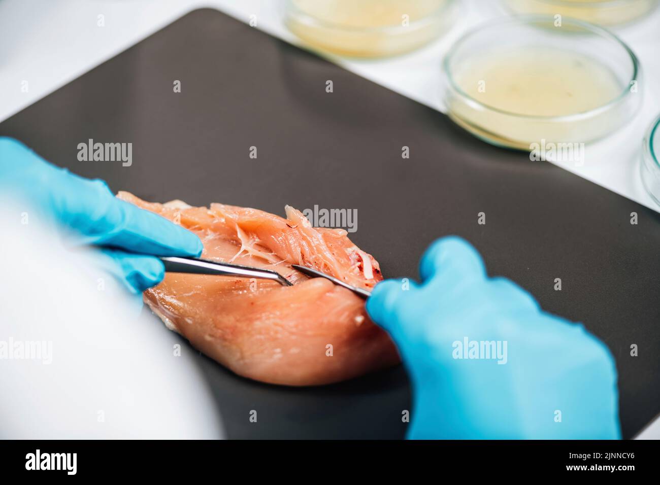 Quality control inspector taking poultry sample Stock Photo