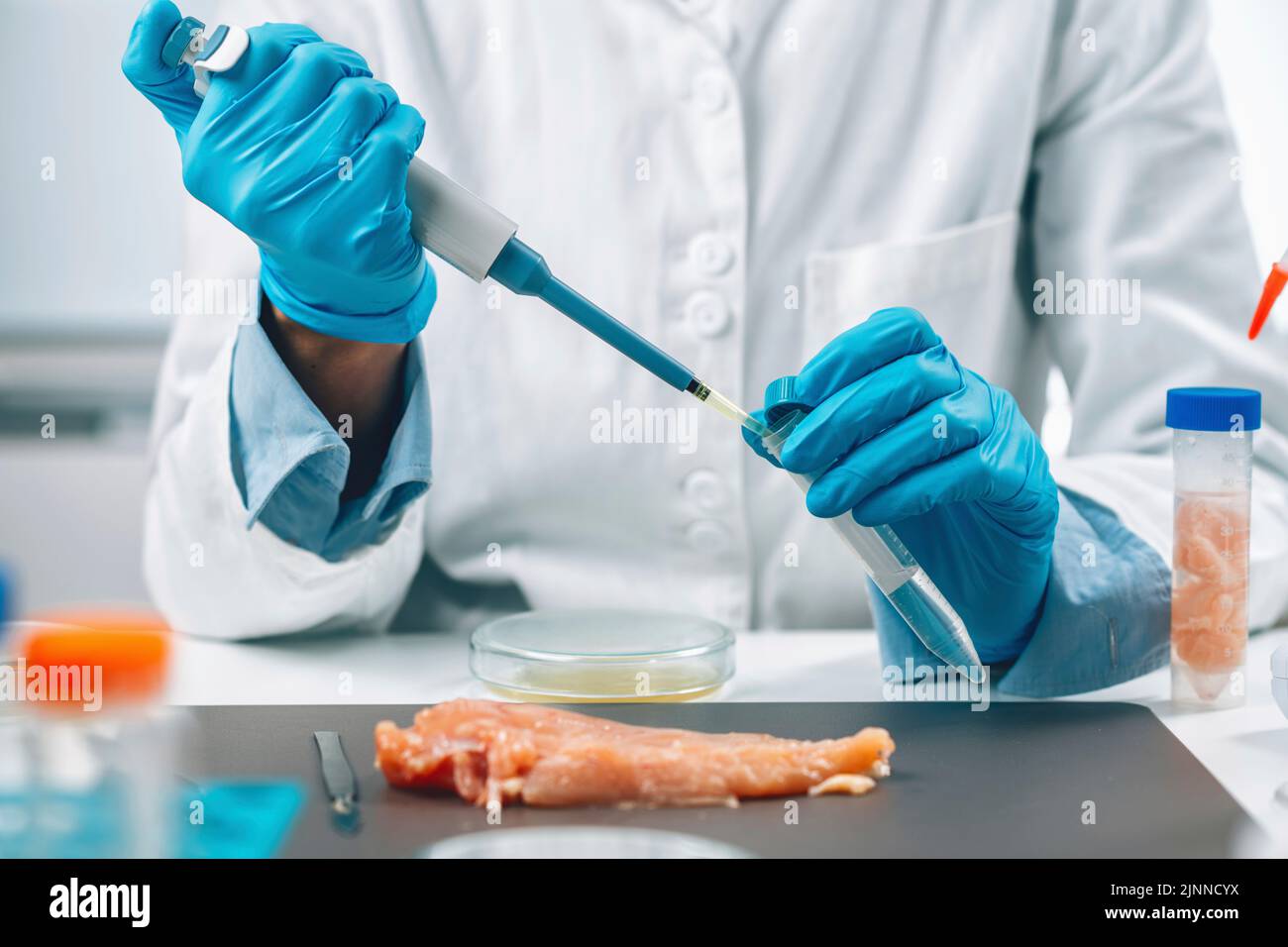 Quality control inspector testing poultry sample Stock Photo