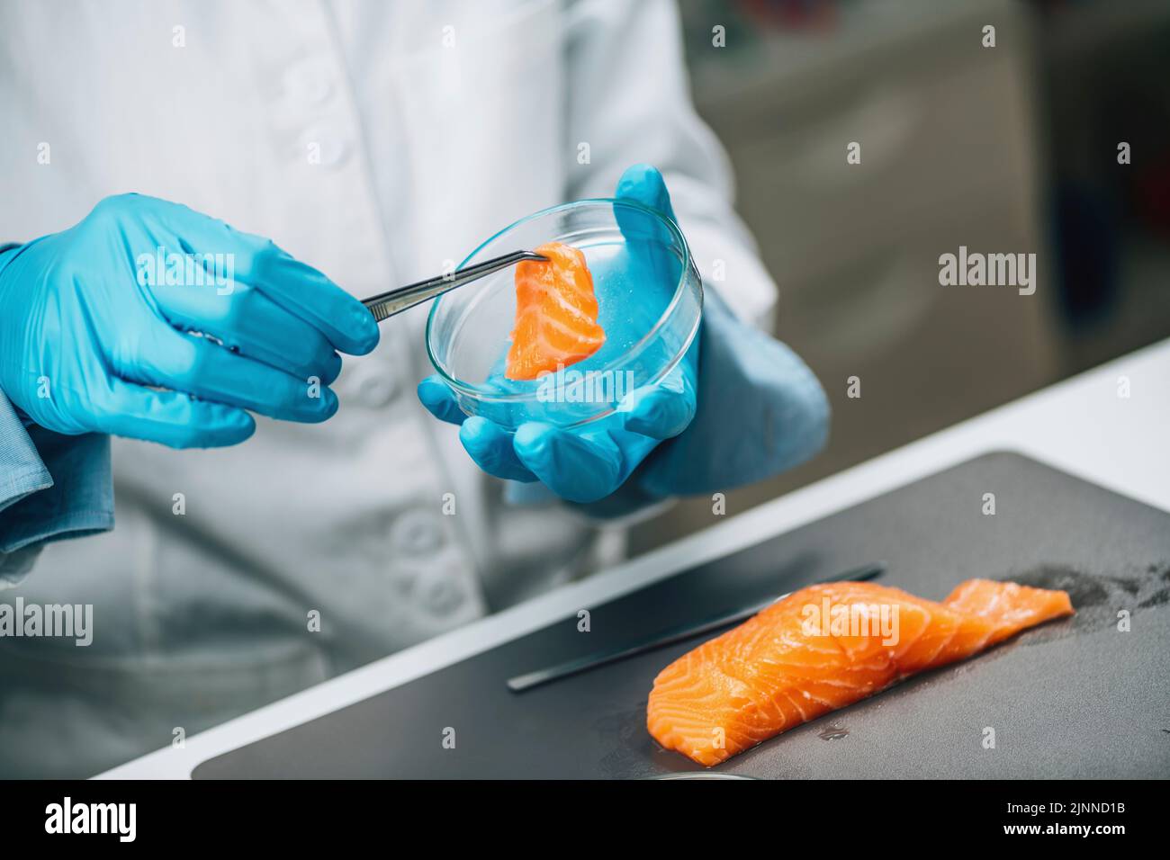Quality control inspector taking fish sample Stock Photo