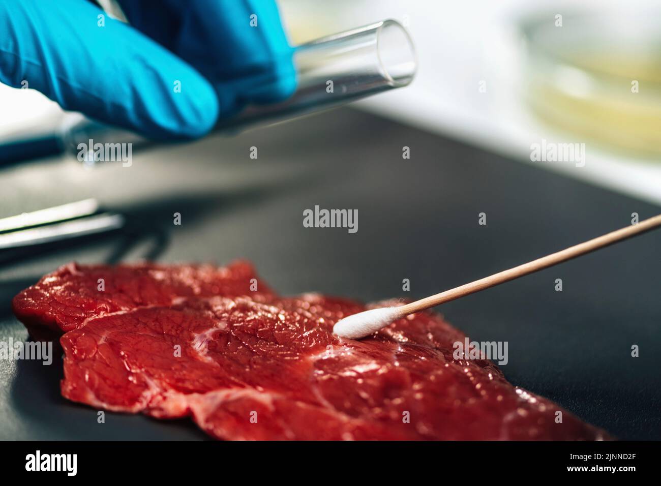 Quality control inspector taking red meat sample Stock Photo
