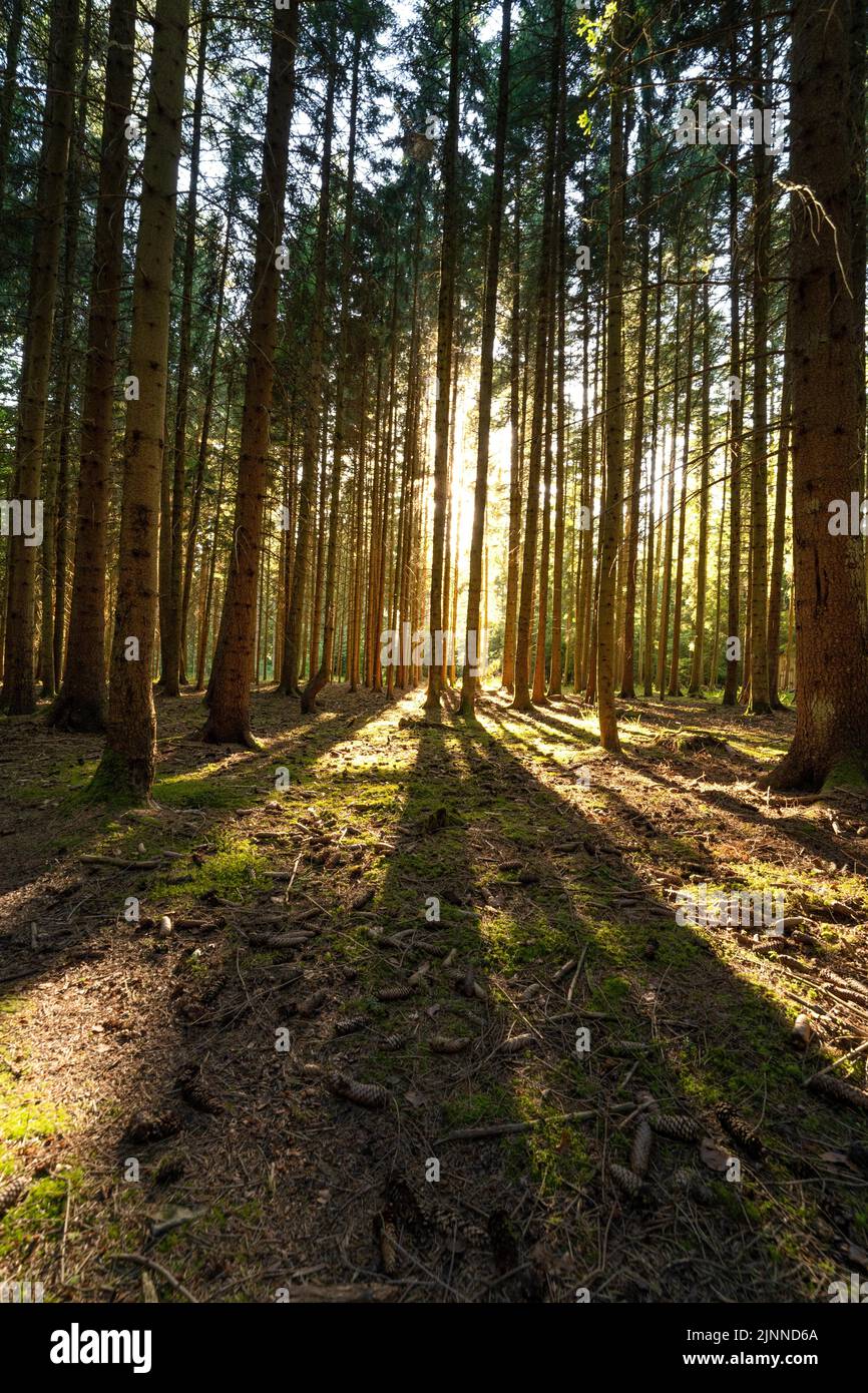 Sunset in the Black Forest, Unterhaugstett, Germany Stock Photo - Alamy