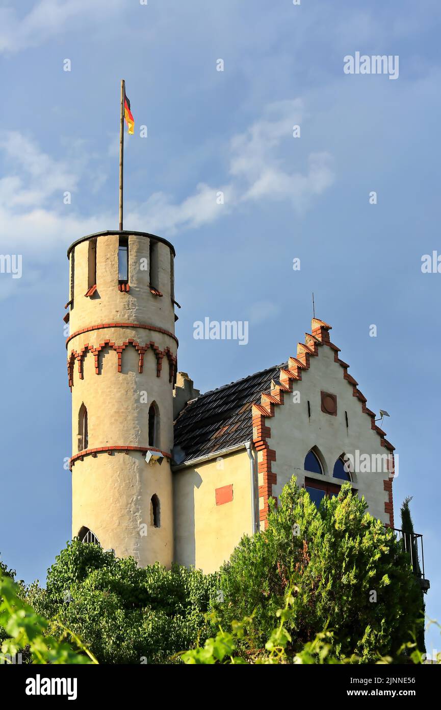 stellenangebote alzey worms