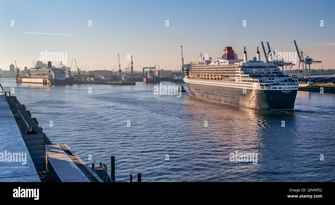 Cruise ship, transatlantic liner Queen Mary 2 on the Elbe in the port