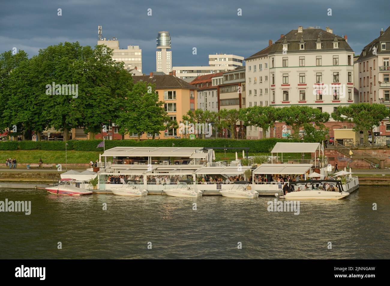 Freigut Frankfurt, boat, pontoon, bank of the river Main, Frankfurt am Main, Hesse, Germany Stock Photo
