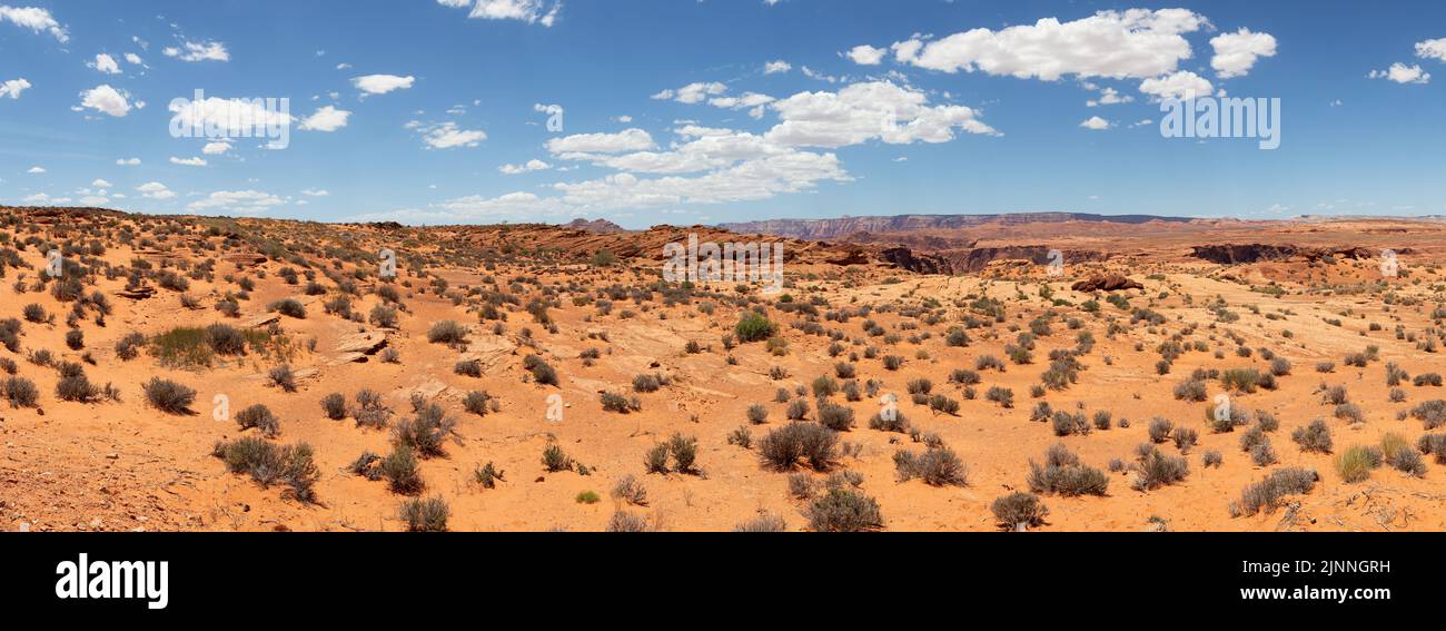 Desert in American Landscape with blue sky sunny summer day Stock Photo ...